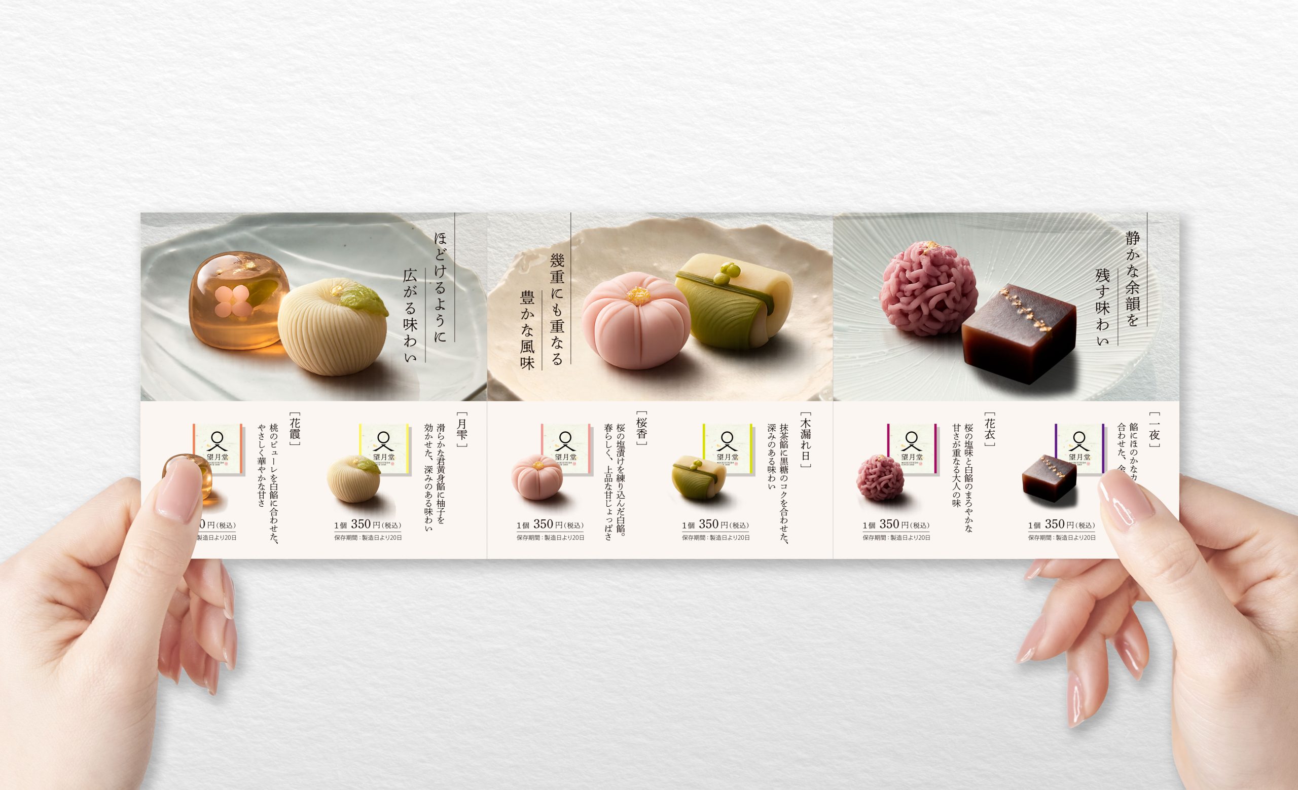 仮想の和菓子ブランド「望月堂」のパンフレット中面のデザイン案。和菓子の写真と、名前や味わいの説明を並べた紙面を、両手で持つイメージ